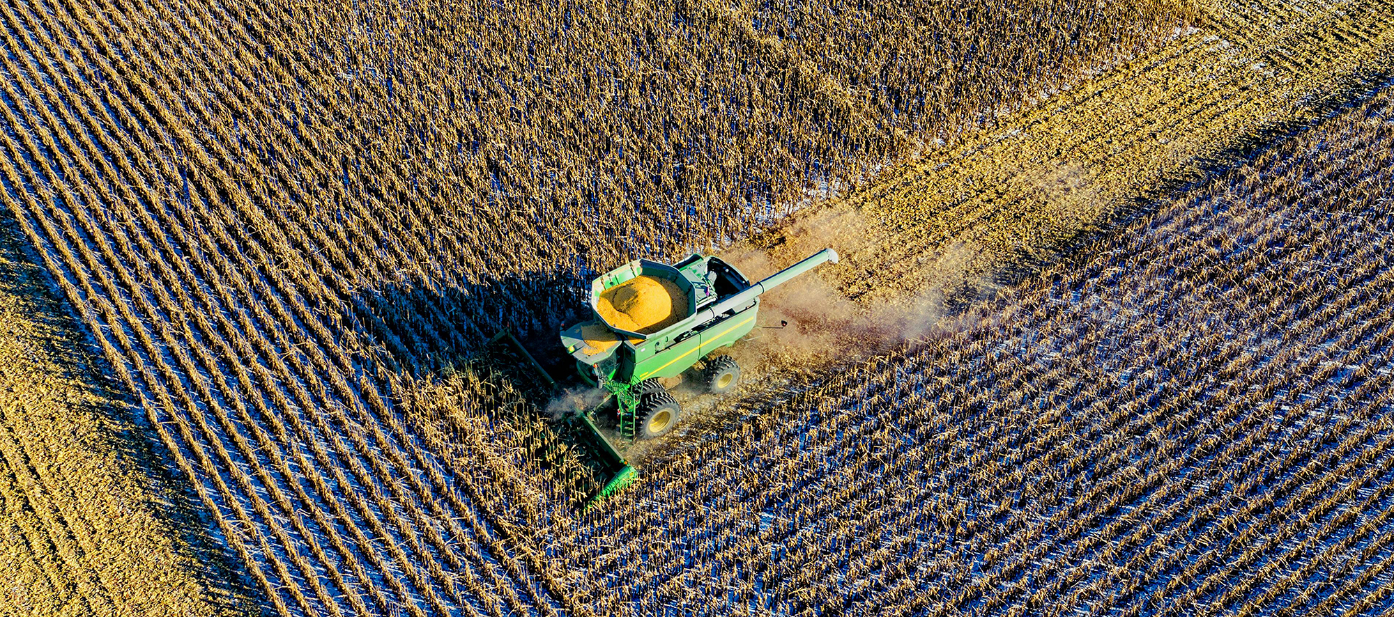 #Agriculture